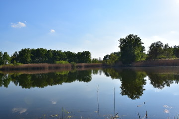 Fototapeta premium spring on the lake, the awakening of colors and reflections