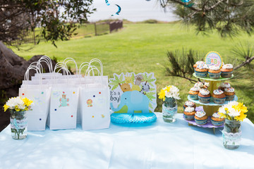 Set up a table for baby shower with cupcakes , flowers and thank you bags