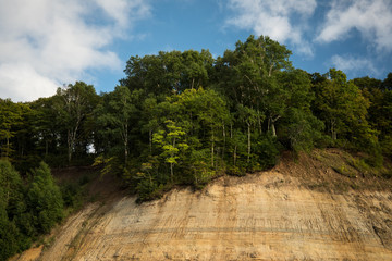 Fototapeta na wymiar Trees growing on sandstone cliff at Pictured Rock National Lakeshore, Munising, Michigan