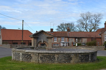 houses and pond