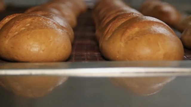 Bakery. Baked loaves move along the conveyor belt Close-up.