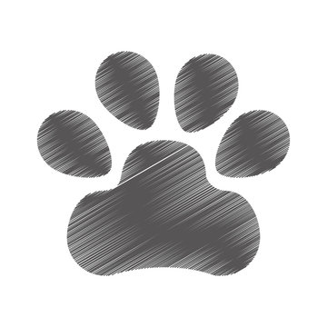 dog footprint isolated icon vector illustration design