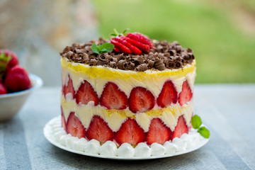 French cake 