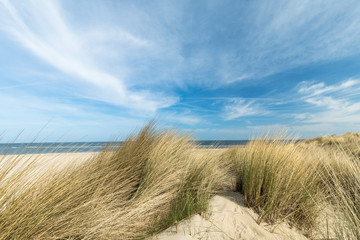 Sunny Dunes And Beach At Renesse / Netherlands