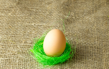 one beige egg lying on the filler sisal lime green color on a wooden table