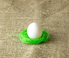 one white egg lying on the filler sisal lime green color on a wooden table