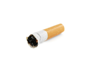 Cigarette butt on white background