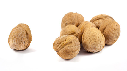 walnuts in shell isolated on white background
