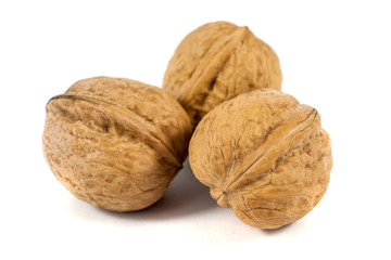 walnuts in shell isolated on white background