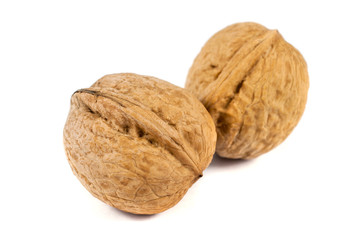 walnuts in shell isolated on white background