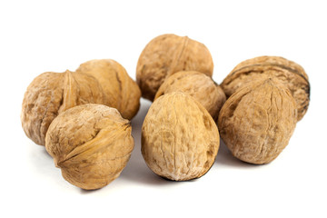 walnuts in shell isolated on white background