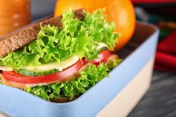 Meal for schoolchild in lunch box, closeup