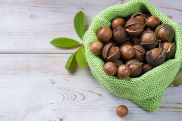 Macadamia nuts harvest close up