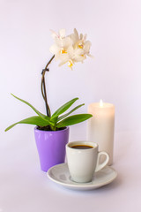 A cup of coffee, a small white orchid and a burning candle on a white background