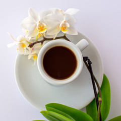 A cup of coffee and a small white orchid on a plate on a white background. Top view