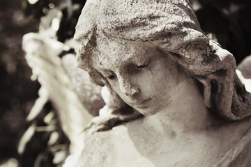 Vintage image of a sad angel on a cemetery against the background of leaves