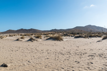 sunset over sand dunes