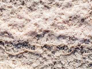 dried surface of salt after water evaporated