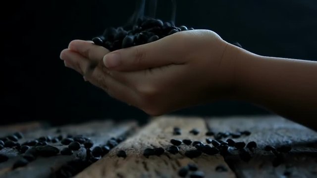 Slow motion of The roasted coffee beans fall into hands of woman and wooden floor with color graded 