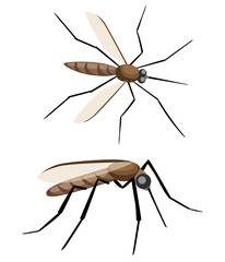 Mosquito silhouettes isolated on white background. Vector mosquito silhouettes. Aegypti flying mosquito. Zika virus transmission.