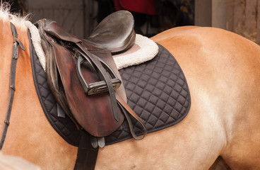 Close up of saddle on horseback, horse in stable
