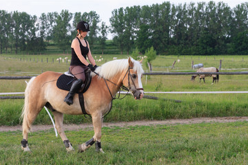A young woman riding a horse Haflinger
