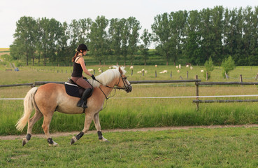A young woman riding a horse Haflinger