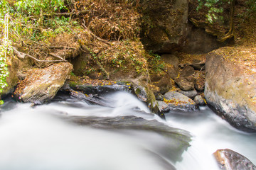 Waterfall in the forest