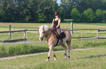 A young woman riding a horse Haflinger