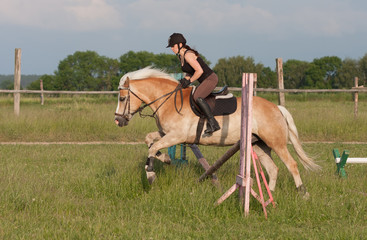 A young woman jumping over hurdle on a horse Haflinger