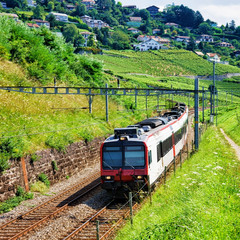 Fototapeta premium Swiss running train in Vineyard Terraces of Lavaux in Switzerland