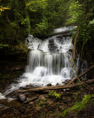 Fototapeta premium Munising Falls at Munising, Michigan with lush plants and trees