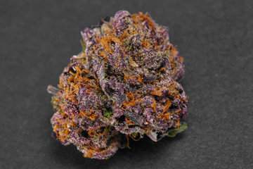 Close up of XXX indica strain prescription medical marijuana bud
