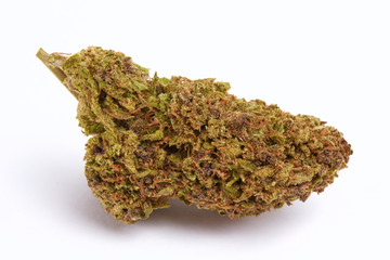 Close up of J1 strain prescription medical marijuana bud