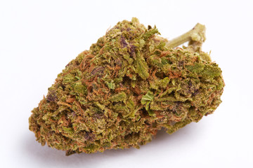 Close up of J1 strain prescription medical marijuana bud