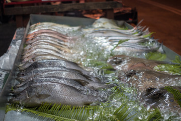 Fresh seafood on display . Shallow depth of focus