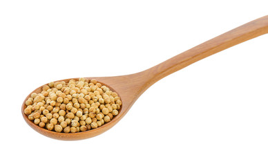 Coriander seeds in wood spoon on white background