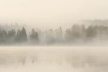 Rolgordijnen Mistig bos en meer bij zonsopgang © Juhku