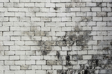 White color painted brick wall texture. Background for text or image.