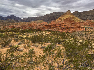 Under the grey sky, Valley of Fire
