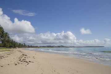 Fototapeta na wymiar Desert beach at Pernambuco