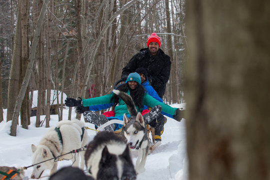 Indian couple dogsledding