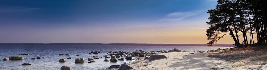 Panoramic view of a rocky island beach with pine trees on the sand at sunset.