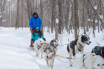 Naklejka premium Indian Couple Dogsledding