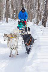 Indian Couple Dogsledding