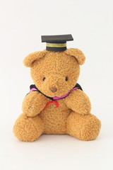 Brown bear wearing a graduation cap on a white background.