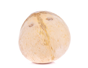 Coconut on a white background