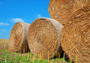 Straw bales on farmland with blue sky. 