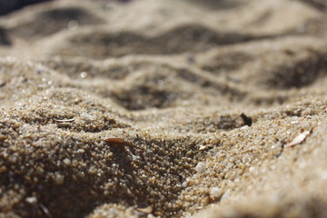 SAND 