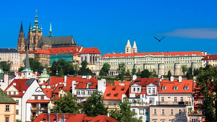 Obraz premium Saint Vitus cathedral with part of the palace complex Hradcany Prague. Czech Republic